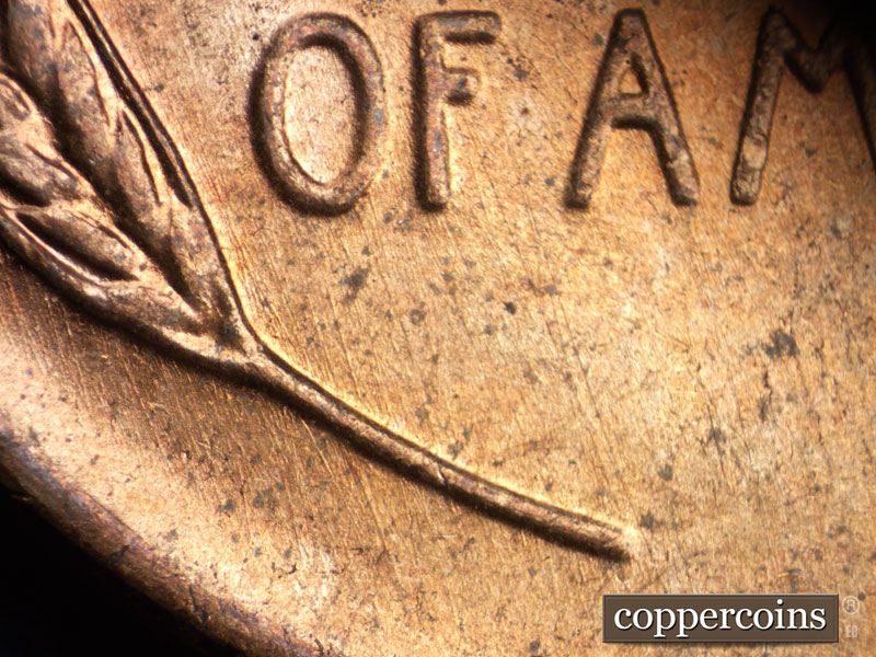 Die-stage B marker on 1956D•1DO•033 (1956 Doubled Die Obverse).