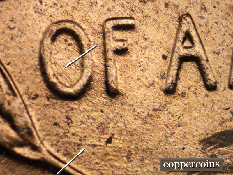 Die-stage C marker on 1956D•1DO•034 (1956 Doubled Die Obverse).