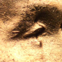 Pre-attribution image for 1956D•1DO•035