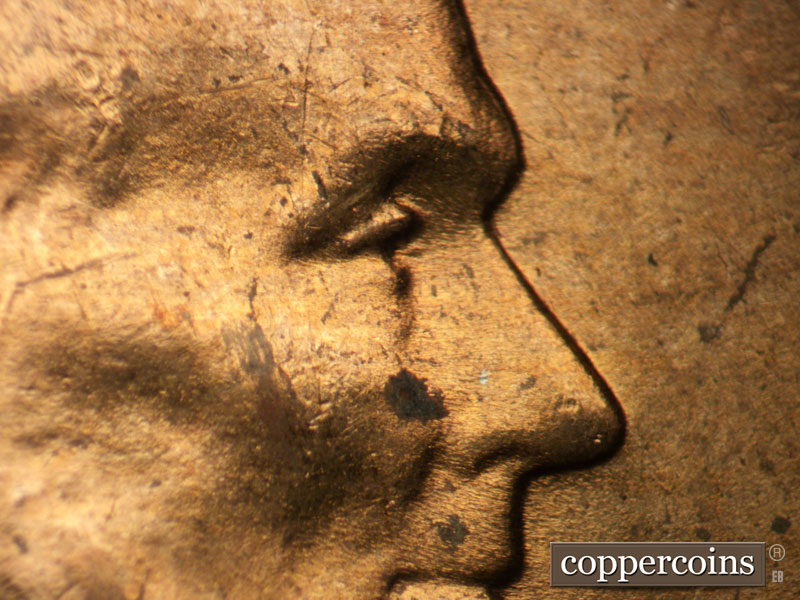 1956 Lincoln cent obverse, CopperCoins die 1956D•1DO•036.