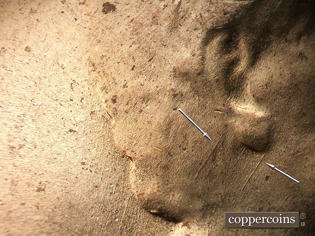 Die-stage B marker on 1956D•1DO•046 showing SW die scratches from bottom of ear.