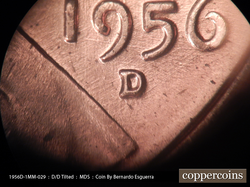 1956 Lincoln cent obverse, CopperCoins die 1956D•1MM•029.