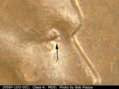 1956 Lincoln cent obverse, CopperCoins die 1956P•1DO•002.