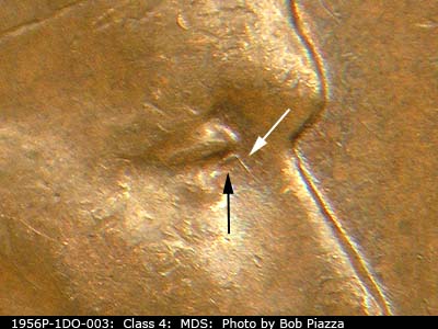 1956 Lincoln cent obverse, CopperCoins die 1956P•1DO•003.