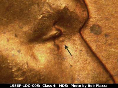 1956 Lincoln cent obverse, CopperCoins die 1956P•1DO•005.