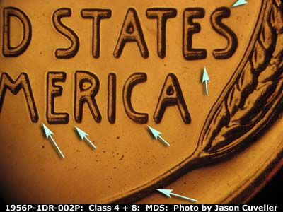 1956 Lincoln cent obverse proof, CopperCoins die 1956P•1DR•002P.