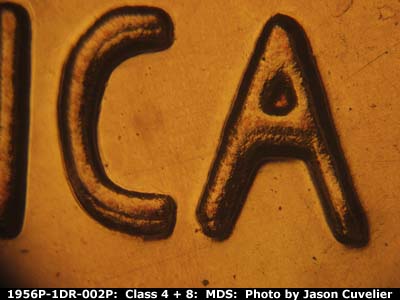 Die-stage B marker on 1956P•1DR•002P (1956 Doubled Die Reverse).