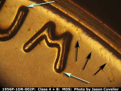 Die-stage B marker on 1956P•1DR•002P (1956 Doubled Die Reverse).