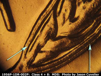 Die-stage B marker on 1956P•1DR•002P (1956 Doubled Die Reverse).