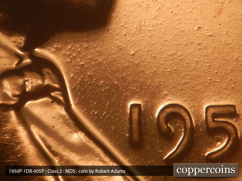 Die-stage B marker on 1956P•1DR•005P (1956 Doubled Die Reverse).