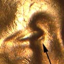 Pre-attribution image for 1957D•1DO•013