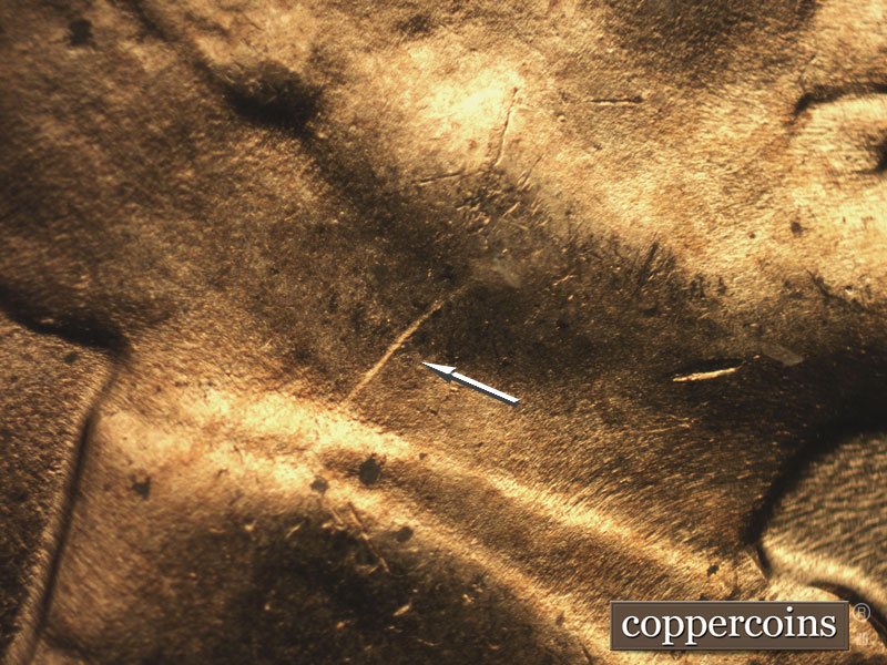 Die-stage C marker on 1957D•1DO•014 (1957 Doubled Die Obverse).