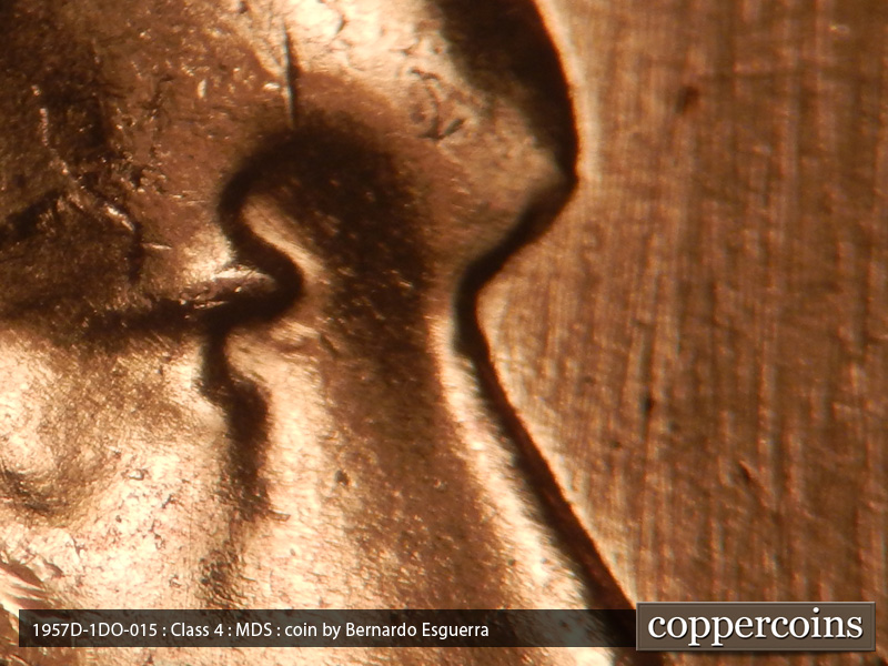 1957 Lincoln cent obverse, CopperCoins die 1957D•1DO•015.