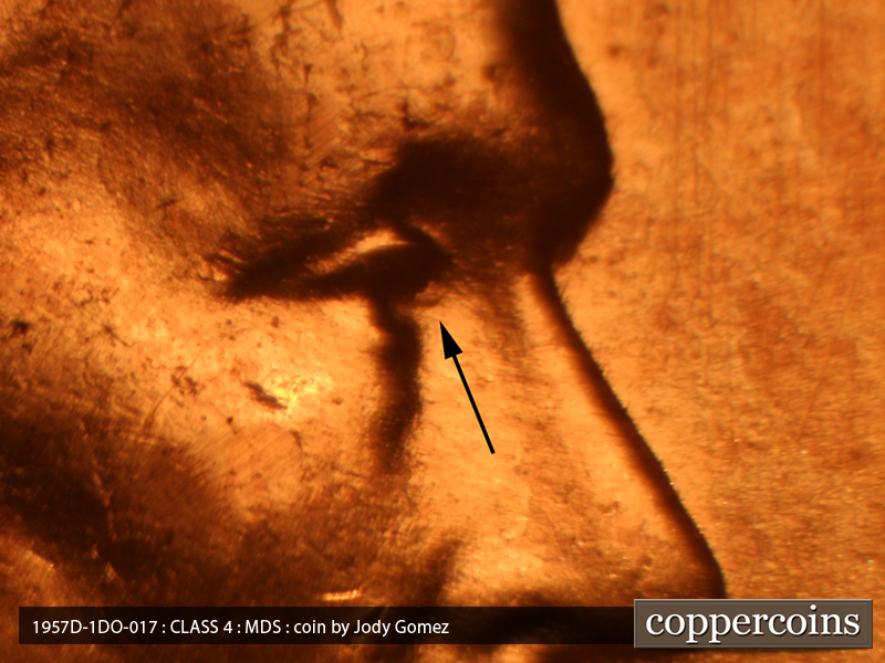 1957 Lincoln cent obverse, CopperCoins die 1957D•1DO•017.