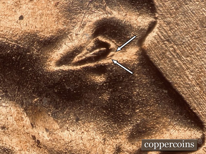 1957 Lincoln cent obverse, CopperCoins die 1957D•1DO•021.