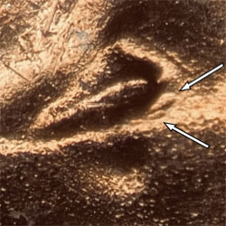Pre-attribution image for 1957D•1DO•021