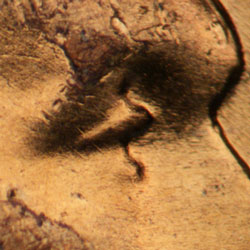 Pre-attribution image for 1957D•1DO•026