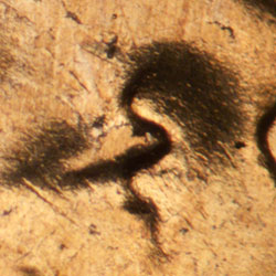 Pre-attribution image for 1957D•1DO•032