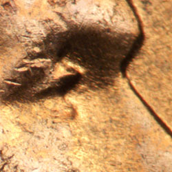 Pre-attribution image for 1957D•1DO•034