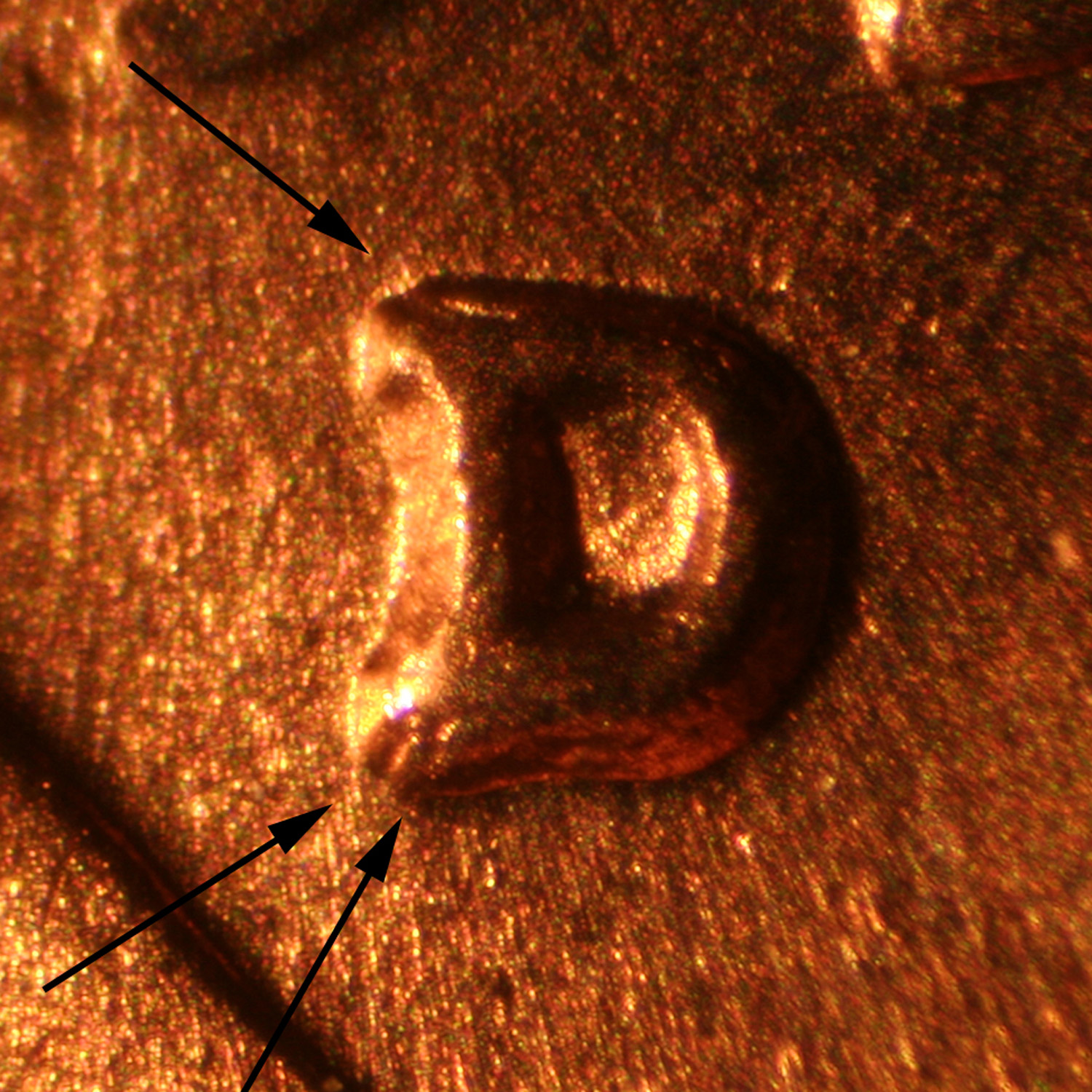 Pre-attribution image for 1957D•1MM•058