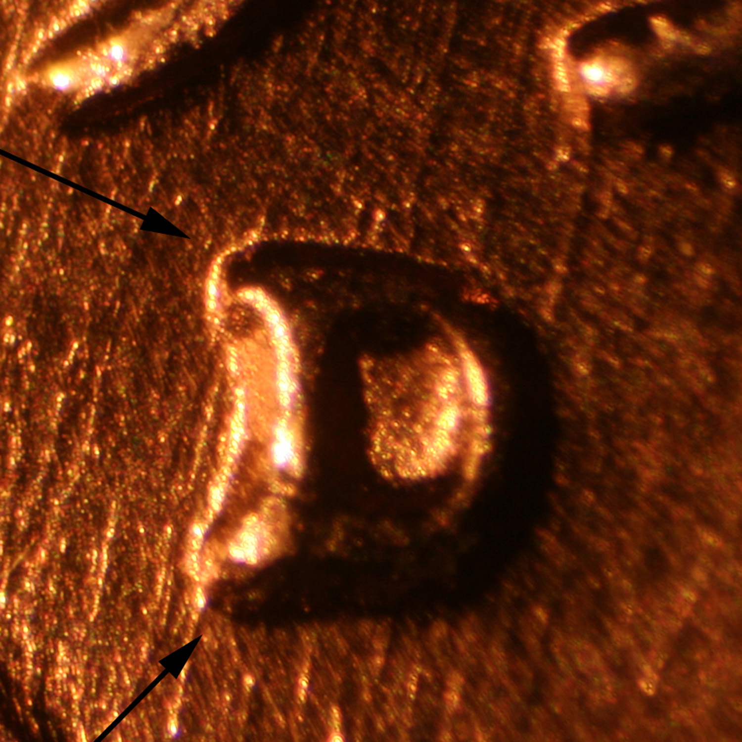Pre-attribution image for 1957D•1MM•061