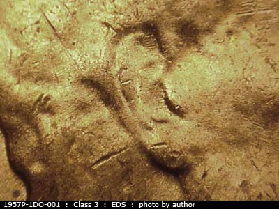 Die-stage A marker on 1957P•1DO•001 (1957 Doubled Die Obverse).