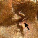 Pre-attribution image for 1958D•1DO•005