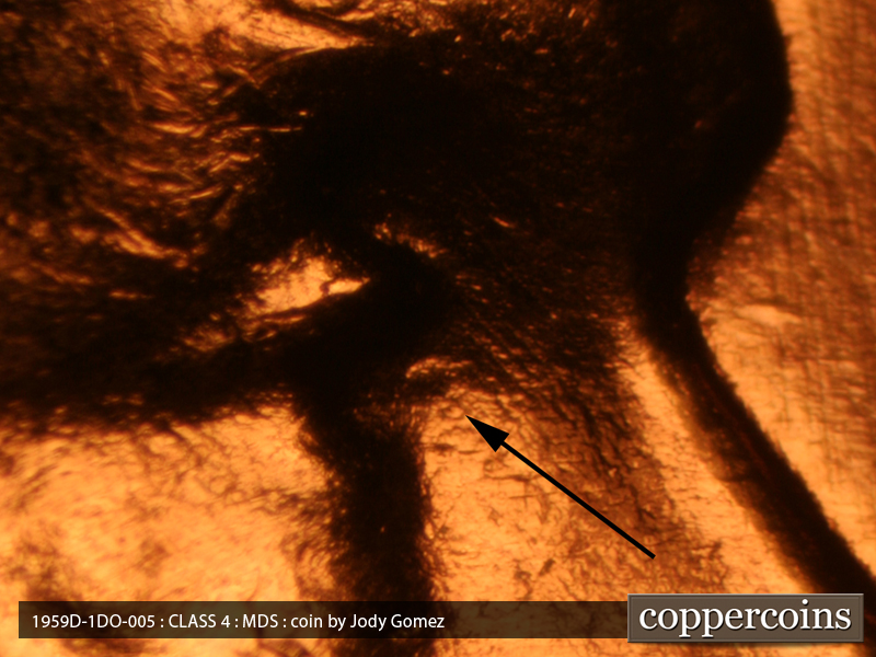 1959 Lincoln cent obverse, CopperCoins die 1959D•1DO•005.