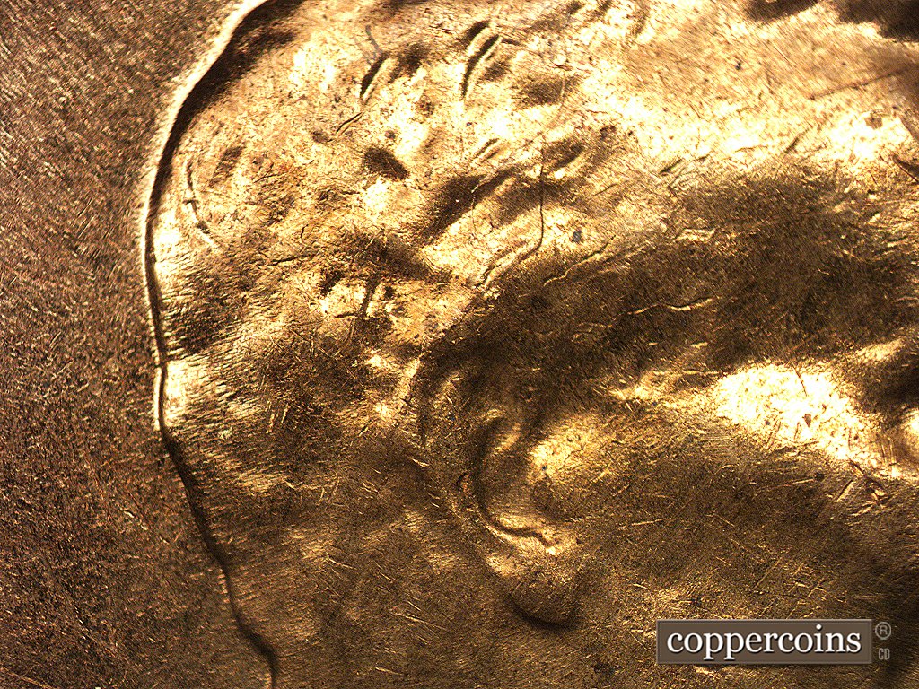 Die-stage C marker on 1960D•1MM•003 showing Die crack in hair behind and above ear.