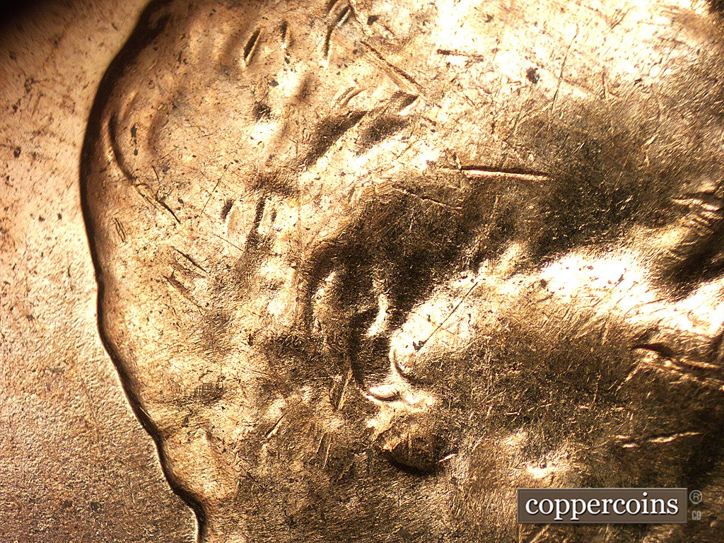 Die-stage D marker on 1960D•1MM•003 showing A die crack runs the length of the back of the ear into the hair to the north.