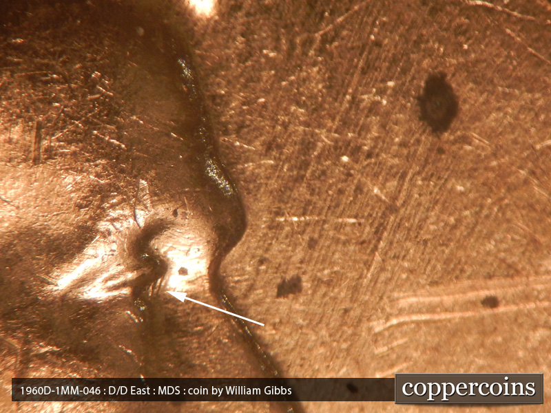 Die-stage B marker on 1960D•1MM•046 showing Two die scratches below the upper eye lid.