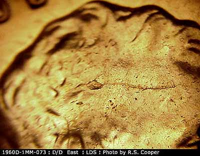 Die-stage C marker on 1960D•1MM•073 showing A long E-W die crack with a die break shows on the forehead area.