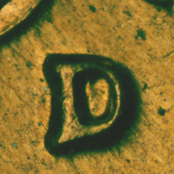 Pre-attribution image for 1960D•1MM•188