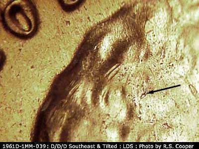 Die-stage C marker on 1961D•1MM•039 (1961 Repunched Mint Mark).