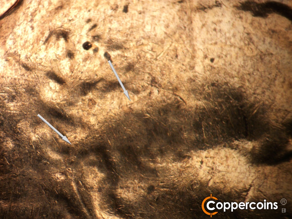 Die-stage C marker on 1961D•1MM•047 showing Die crack from top of ear into forehead.