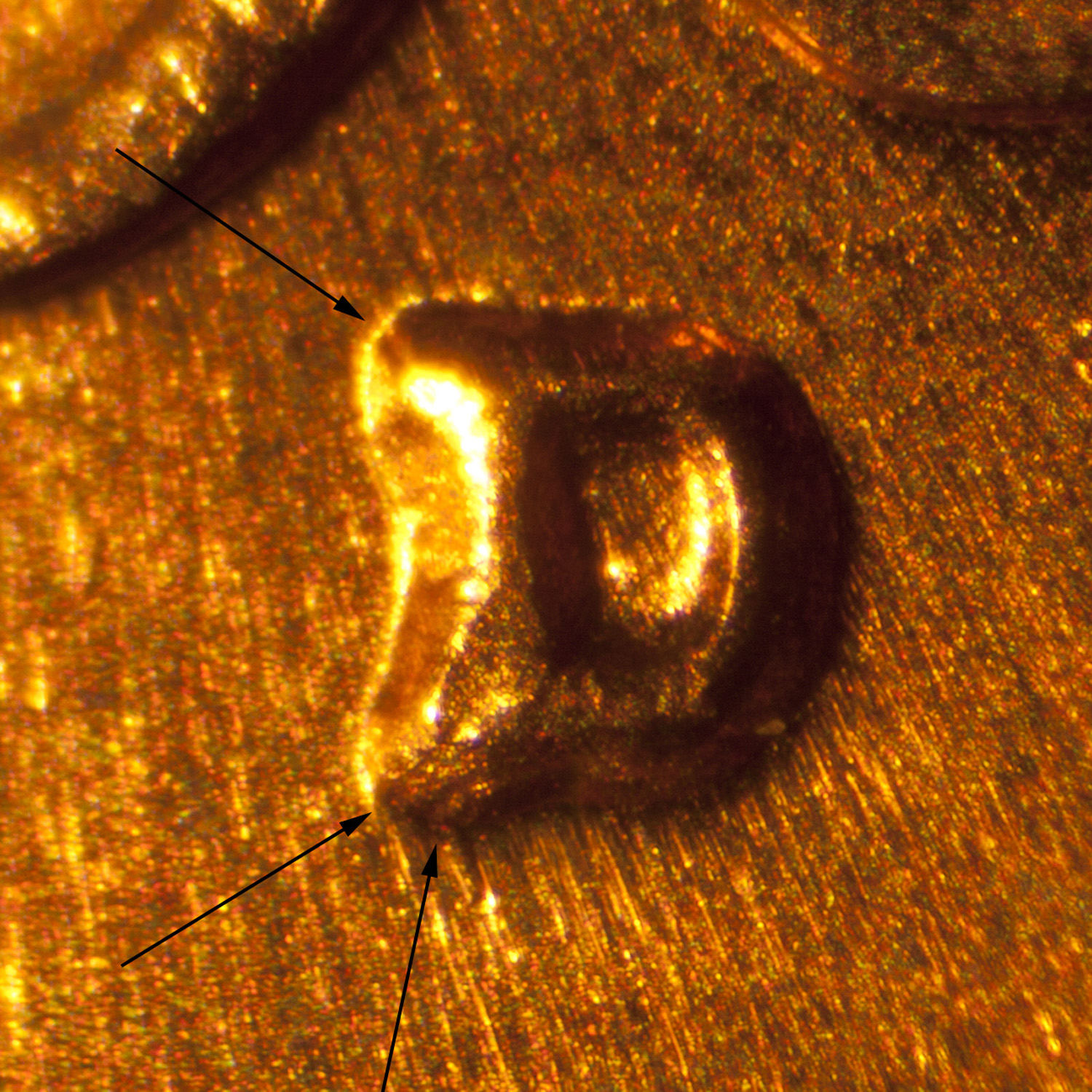 Pre-attribution image for 1961D•1MM•096