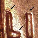 Pre-attribution image for 1961P•1DO•003