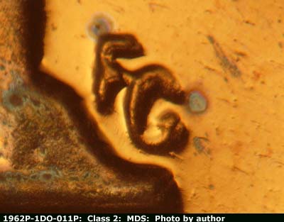Die-stage B marker on 1962P•1DO•011P (1962 Doubled Die Obverse).