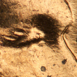 Pre-attribution image for 1963D•1DO•010