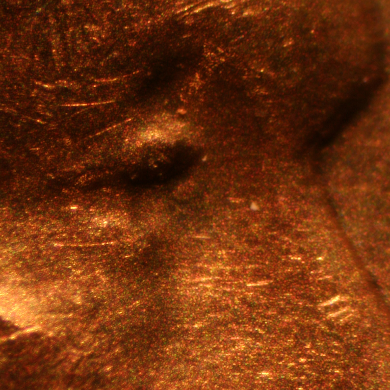 Pre-attribution image for 1963D•1DO•025