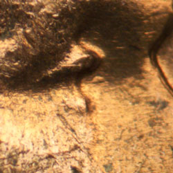 Pre-attribution image for 1963D•1DO•034