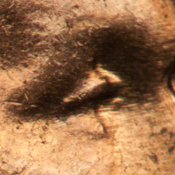 Pre-attribution image for 1963D•1DO•037