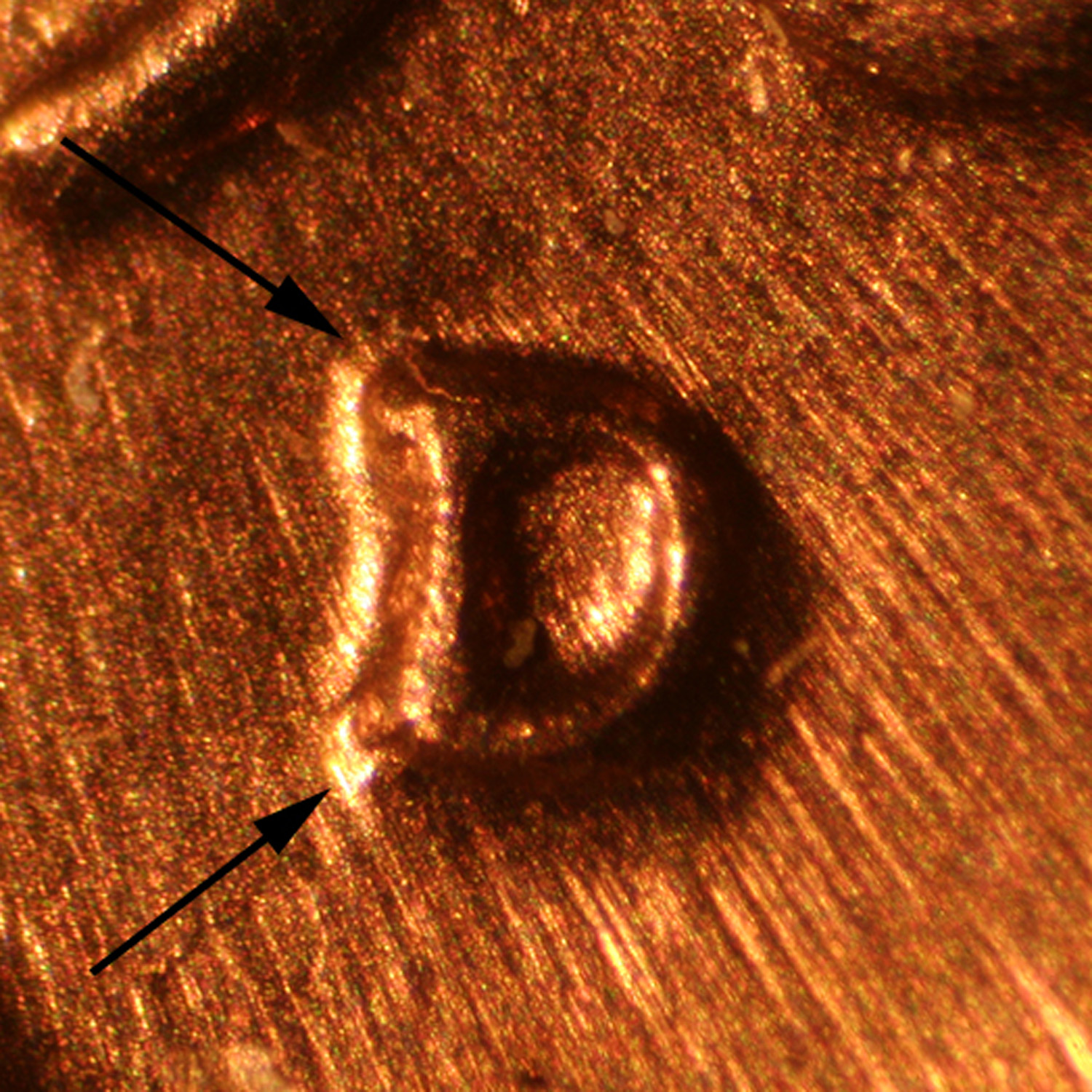 Pre-attribution image for 1963D•1MM•028