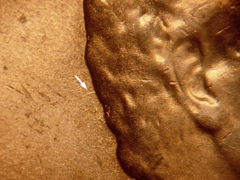 Die-stage B marker on 1964D•1DR•012 (1964 Doubled Die Reverse).