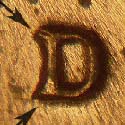Pre-attribution photo for 1964D•1MM•032