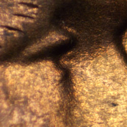 Pre-attribution image for 1968S•1DO•009
