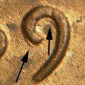 Pre-attribution image for 1969S•1DO•002
