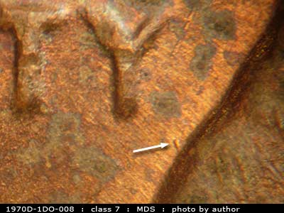 Die-stage B marker on 1970D•1DO•008 (1970 Doubled Die Obverse).