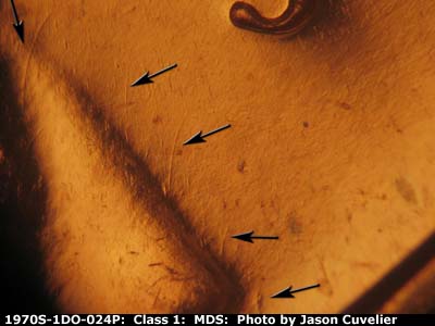 Die-stage B marker on 1970S•1DO•024P (1970 Doubled Die Obverse).