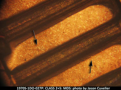 Die-stage B marker on 1970S•1DO•027P (1970 Doubled Die Obverse).